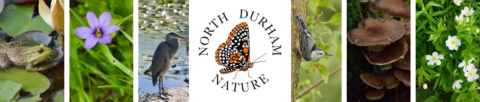 North Durham Nature